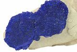 Vibrant Blue Azurite Suns on Siltstone - Australia #287964-1